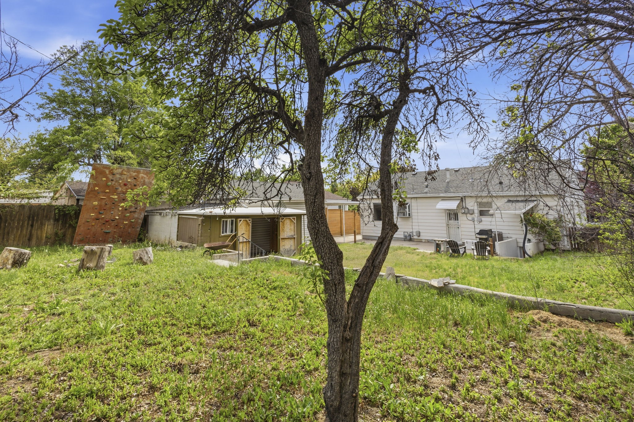 Expansive rear yard featuring green space, mature trees, and a climbing wall structure