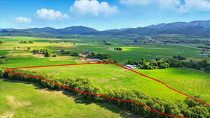 Expansive green acreage with a tree-lined boundary