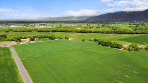 Expansive agricultural acreage featuring a paved access road, distant mountainous terrain, surrounding verdant fields, a distant residential structure, and mature trees