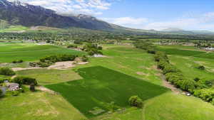 Expansive agricultural land featuring a verdant field, mature trees, and distant snow-capped mountains