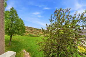 Expansive grassy hillside with mature trees and natural landscaping