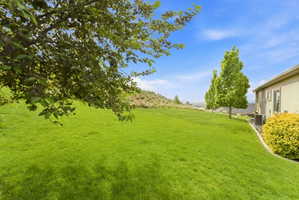 Expansive, sloped lawn area featuring mature trees and established landscaping