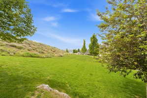 Expansive green lawn with a gentle slope