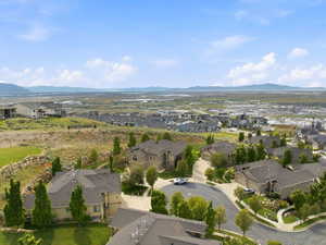 Aerial perspective showcasing a residential neighborhood with varied architectural styles and mature landscaping