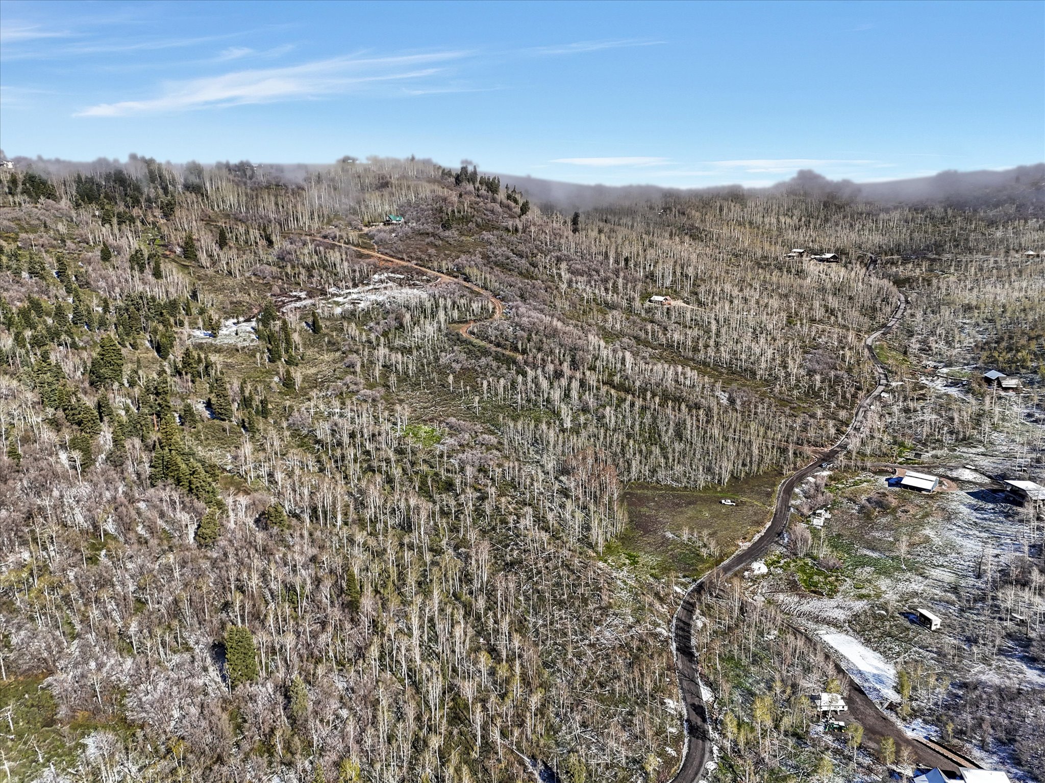 Expansive mountain landscape featuring varied tree cover and a winding paved road