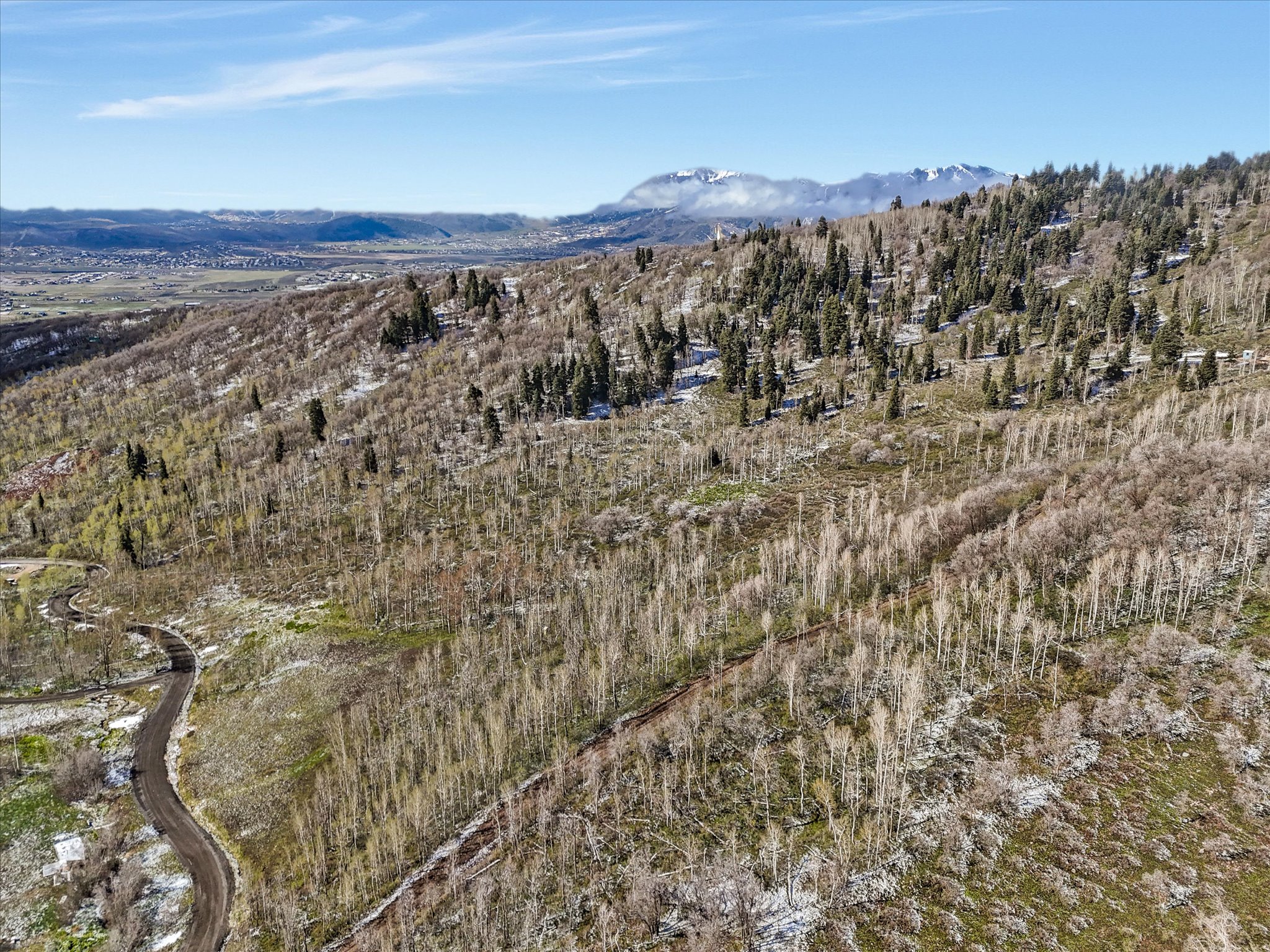 Expansive wooded terrain featuring a winding road
