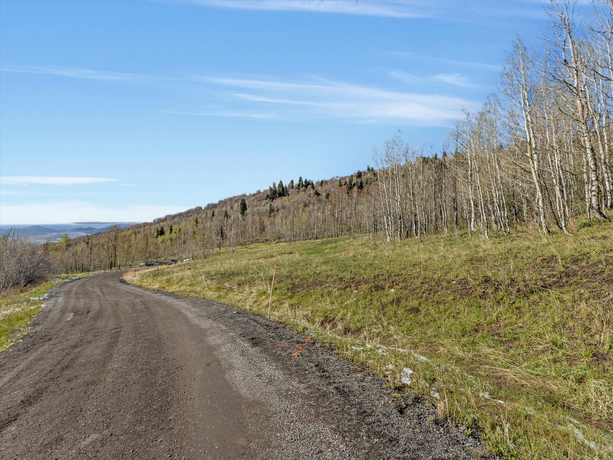 Gravel road traversing a sloped landscape with a dense forest of deciduous trees on the right and evergreen trees on the distant hillside