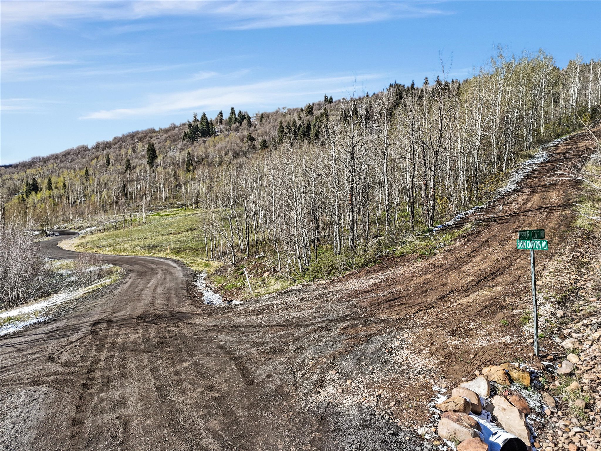 Winding dirt road surrounded by varied tree cover and natural terrain, featuring a green street sign for "DAVIS CANYON RD."