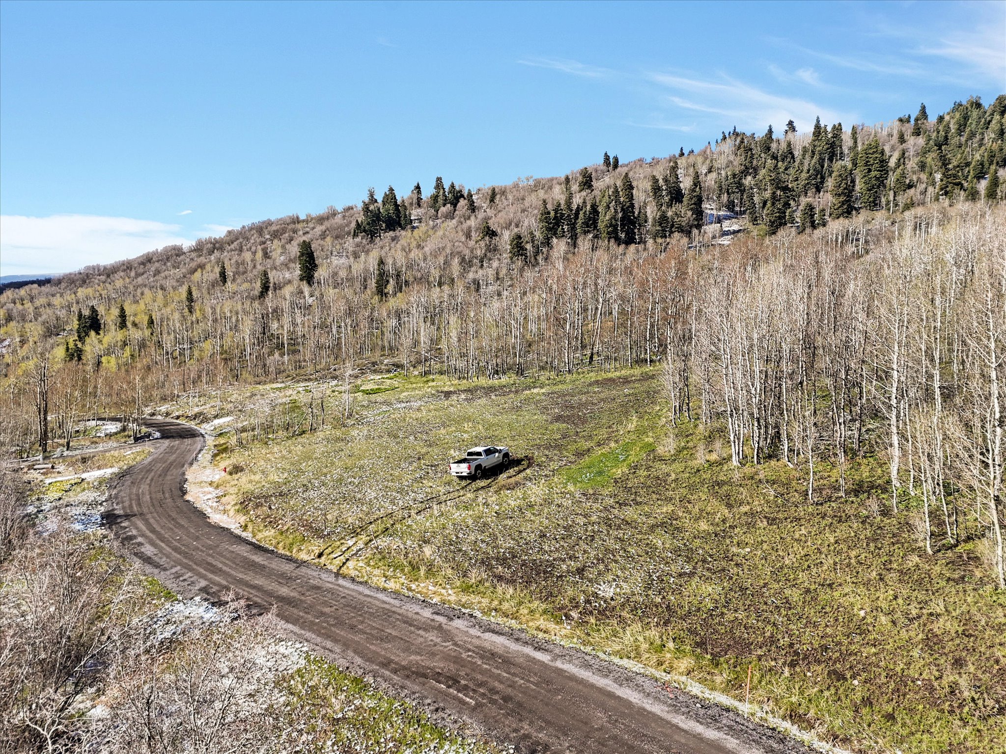 Expansive undeveloped acreage featuring a winding dirt road and diverse tree cover