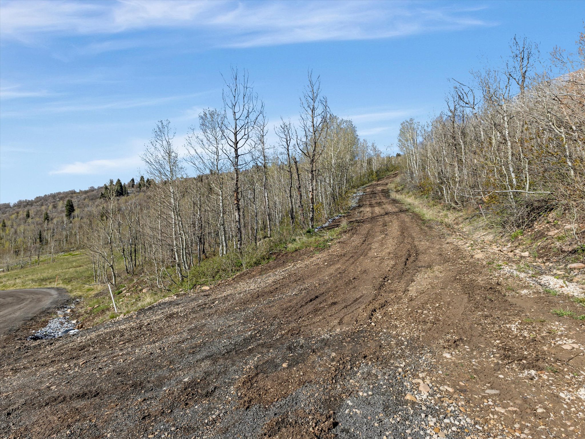 Unpaved hillside road with surrounding mature trees and natural vegetation