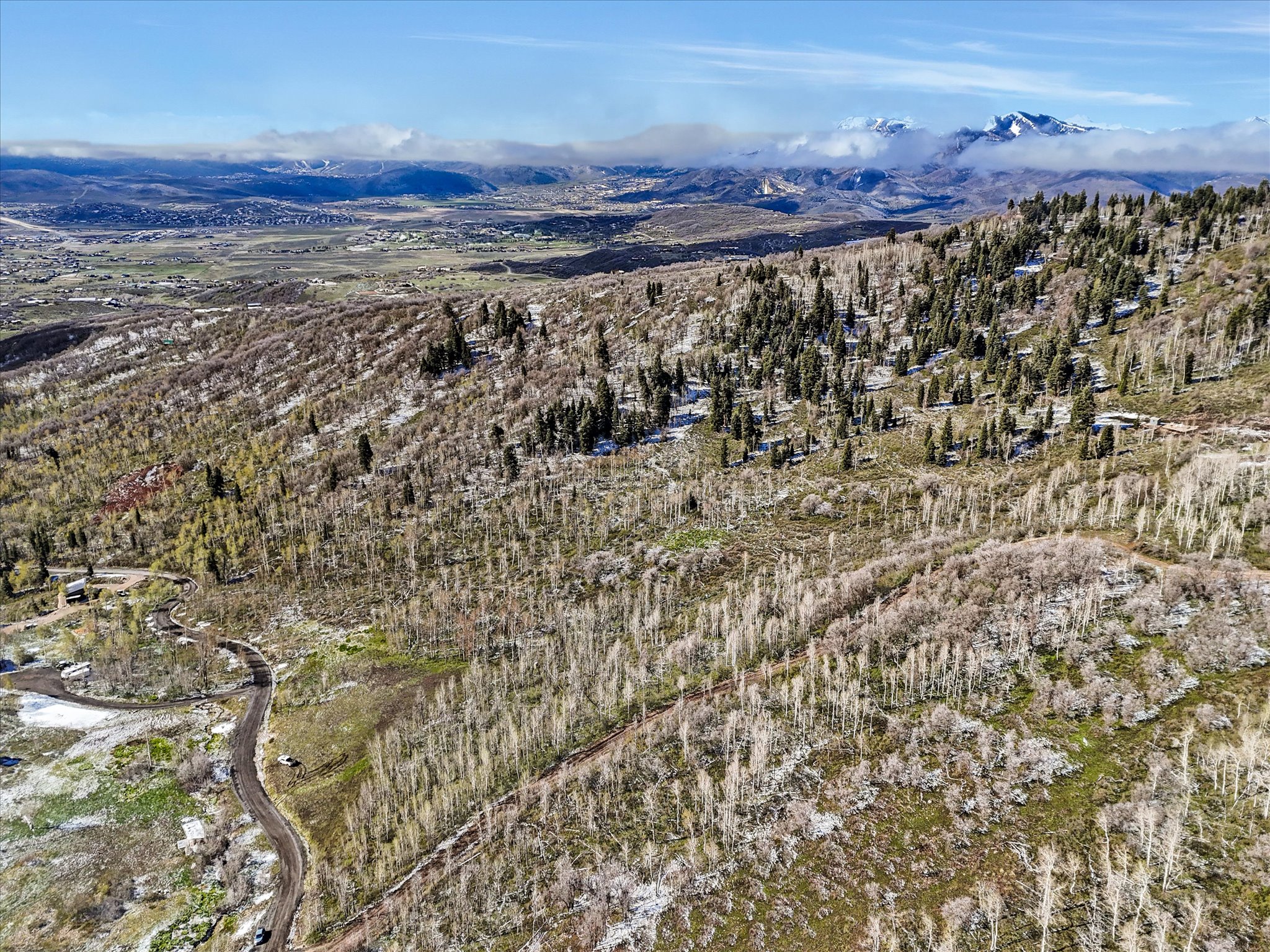 Expansive mountainous terrain featuring diverse tree coverage, including evergreen and deciduous trees