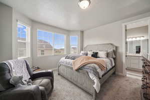 Bedroom featuring bay windows with blinds, light gray wall paint, and gray carpet flooring