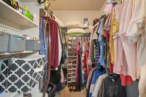 Walk-in closet featuring built-in shelving, hanging rods, and carpet flooring