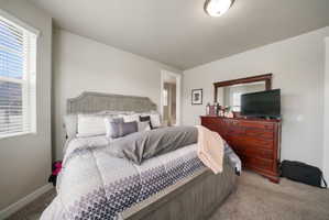 Carpeted flooring paired with light gray wall paint and a window featuring horizontal blinds