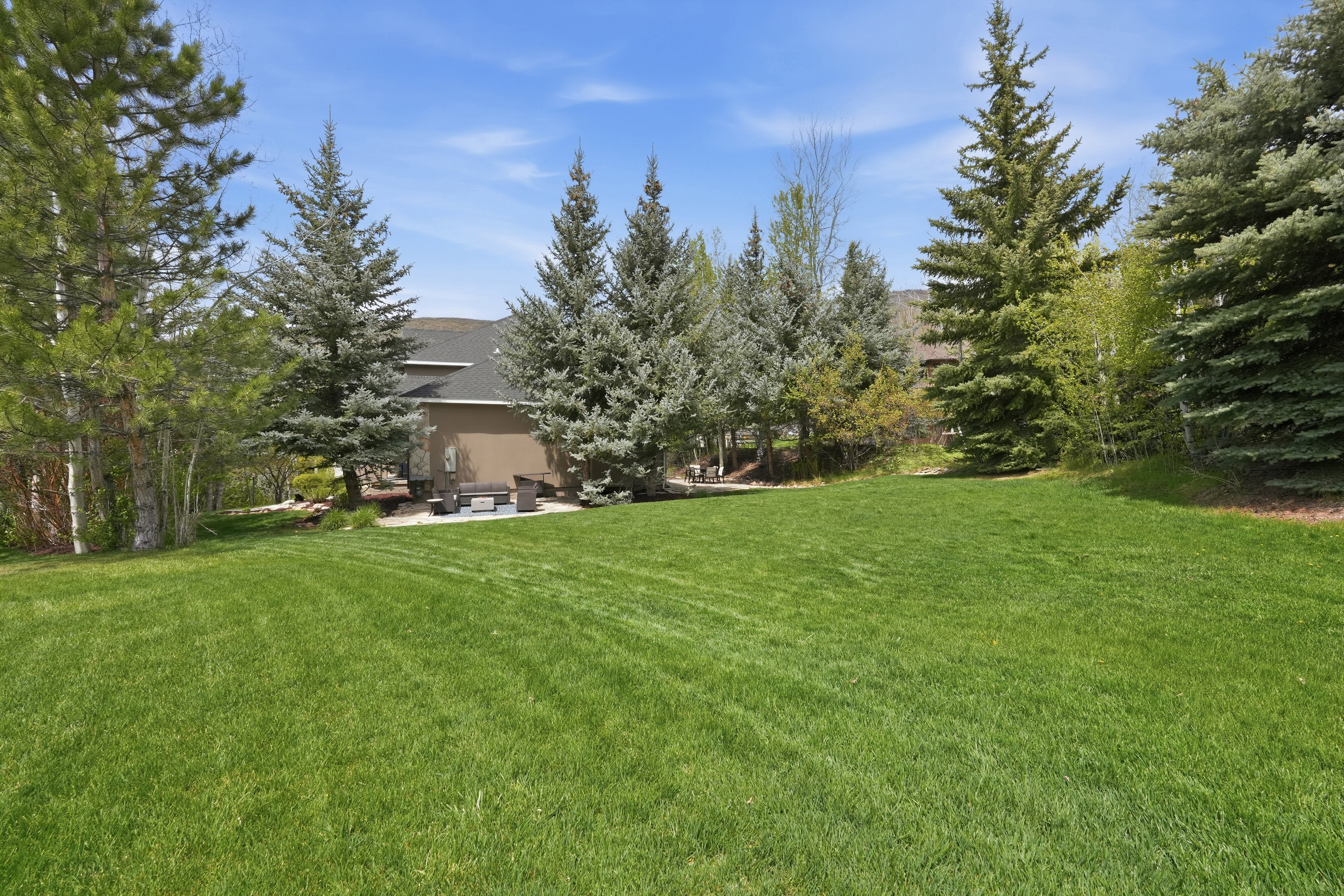 Expansive green lawn with mature evergreen trees bordering the property