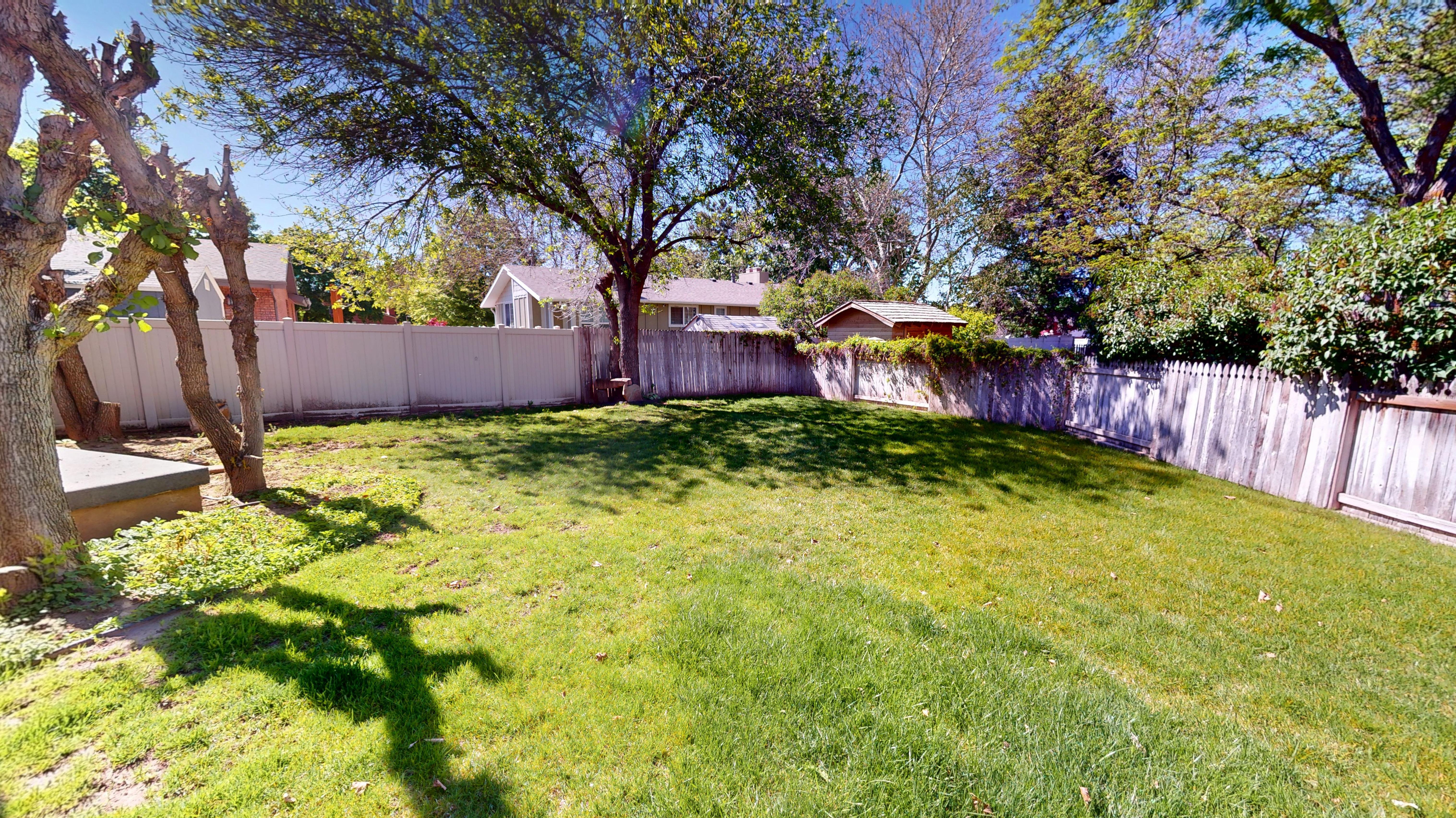 Expansive backyard featuring a manicured lawn, established trees, and a combination of wood and privacy fencing