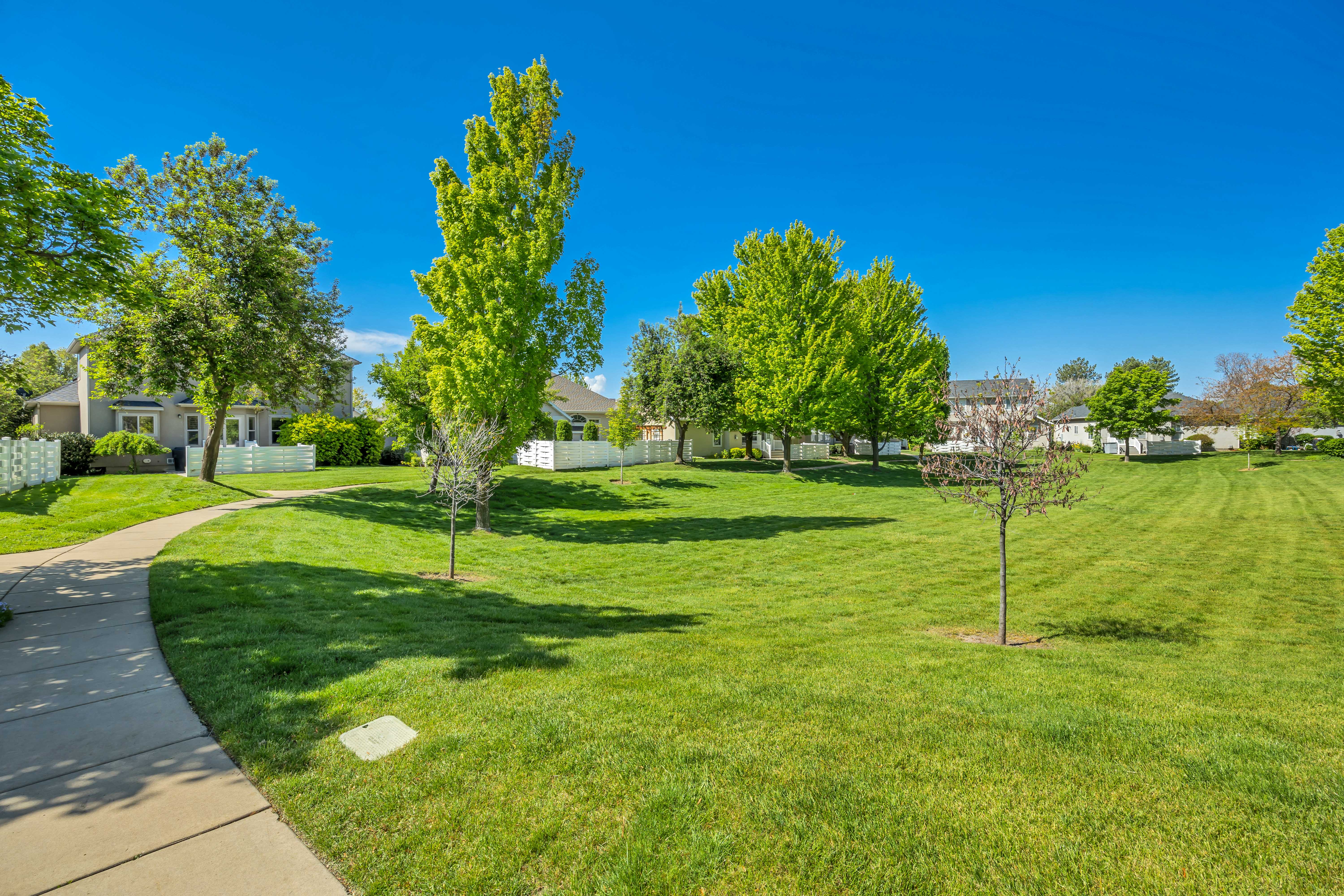 Open space featuring a curved concrete pathway and mature trees
