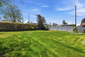 Spacious grassy yard featuring a white privacy fence along one side and natural foliage along the other