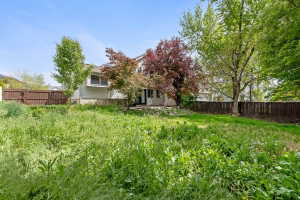 Expansive backyard space with mature trees and wood fencing