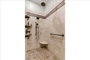Primary Bathroom Shower