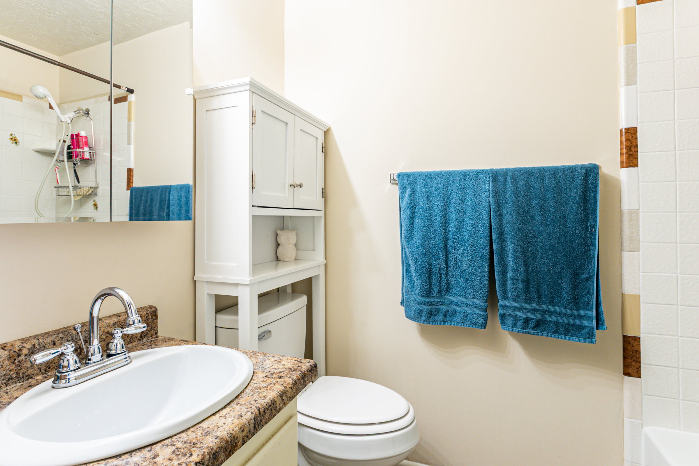 Full bathroom featuring a vanity with an oval basin sink, chrome faucet, and a stone-finish countertop