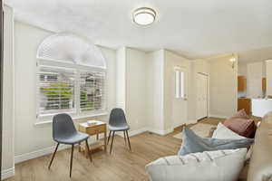Arch-top window with plantation shutters, wood-finish flooring, recessed lighting, and white trim