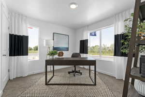 Spacious room featuring broad windows with white trim, a flush-mount ceiling light, and neutral carpet flooring