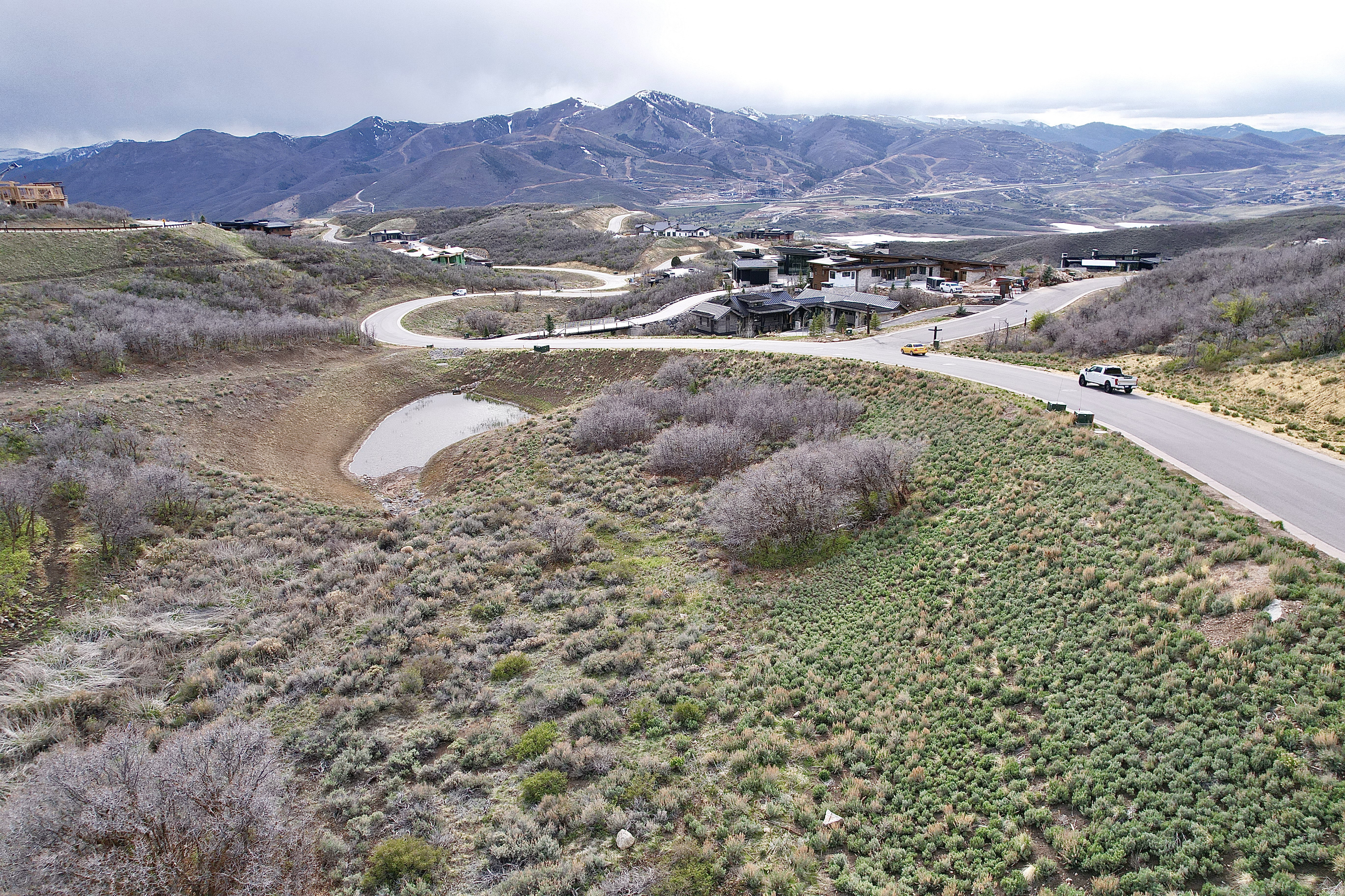 Expansive undeveloped parcel featuring a natural pond and varied natural vegetation
