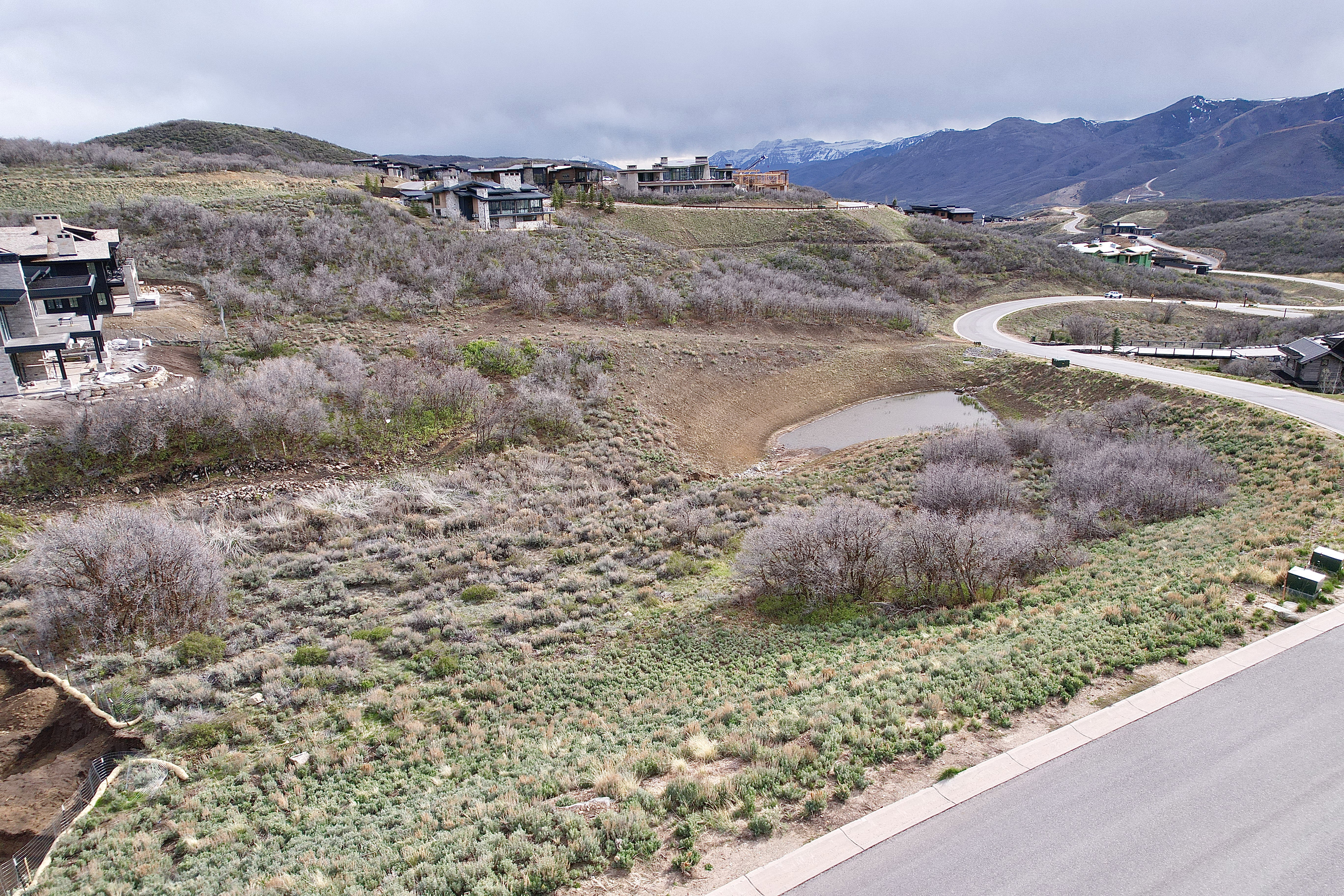 Expansive undeveloped lot featuring natural vegetation, a tranquil pond, and a paved street frontage