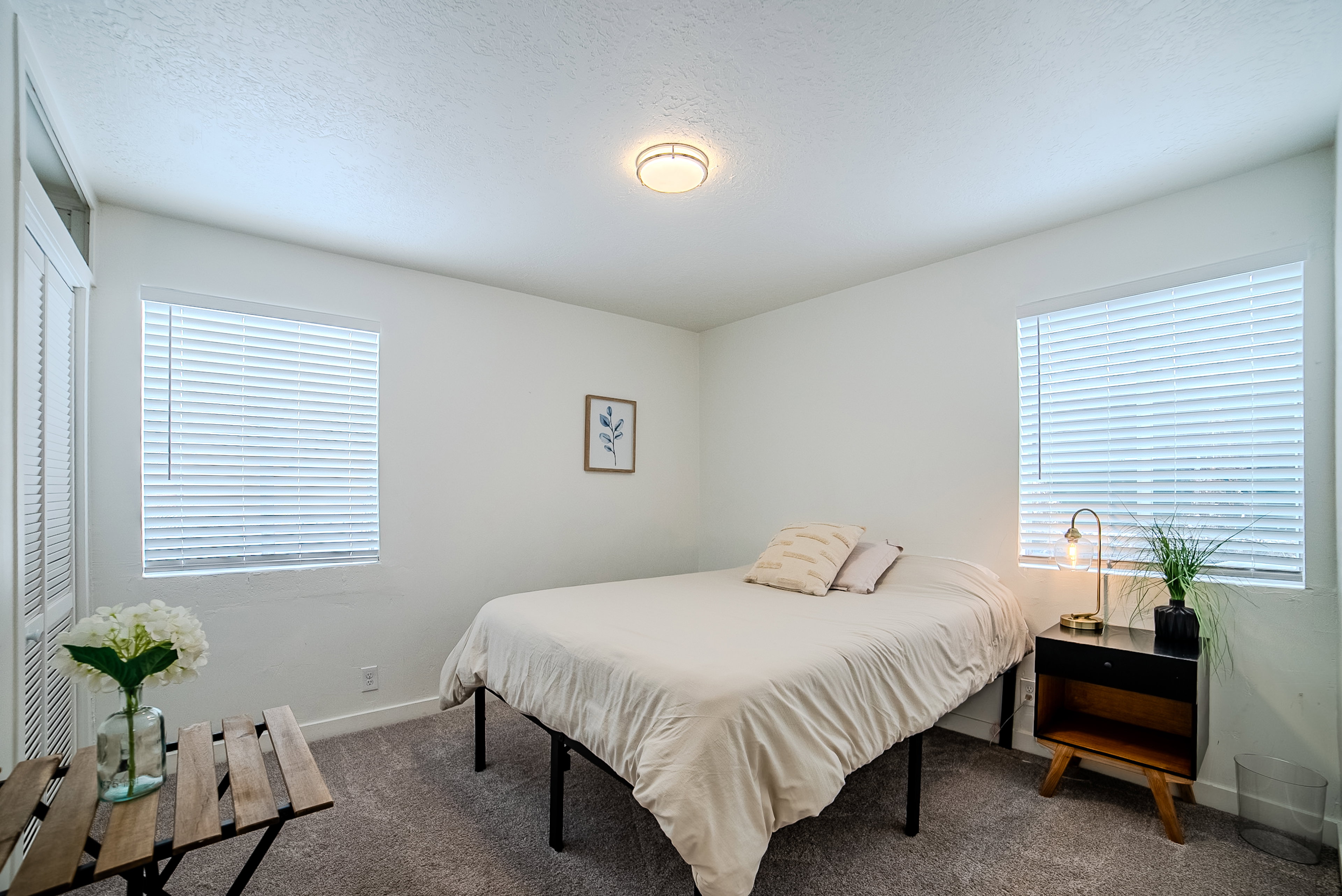 Bedroom featuring neutral wall paint, carpet flooring, a ceiling-mounted light fixture, and two windows with blinds
