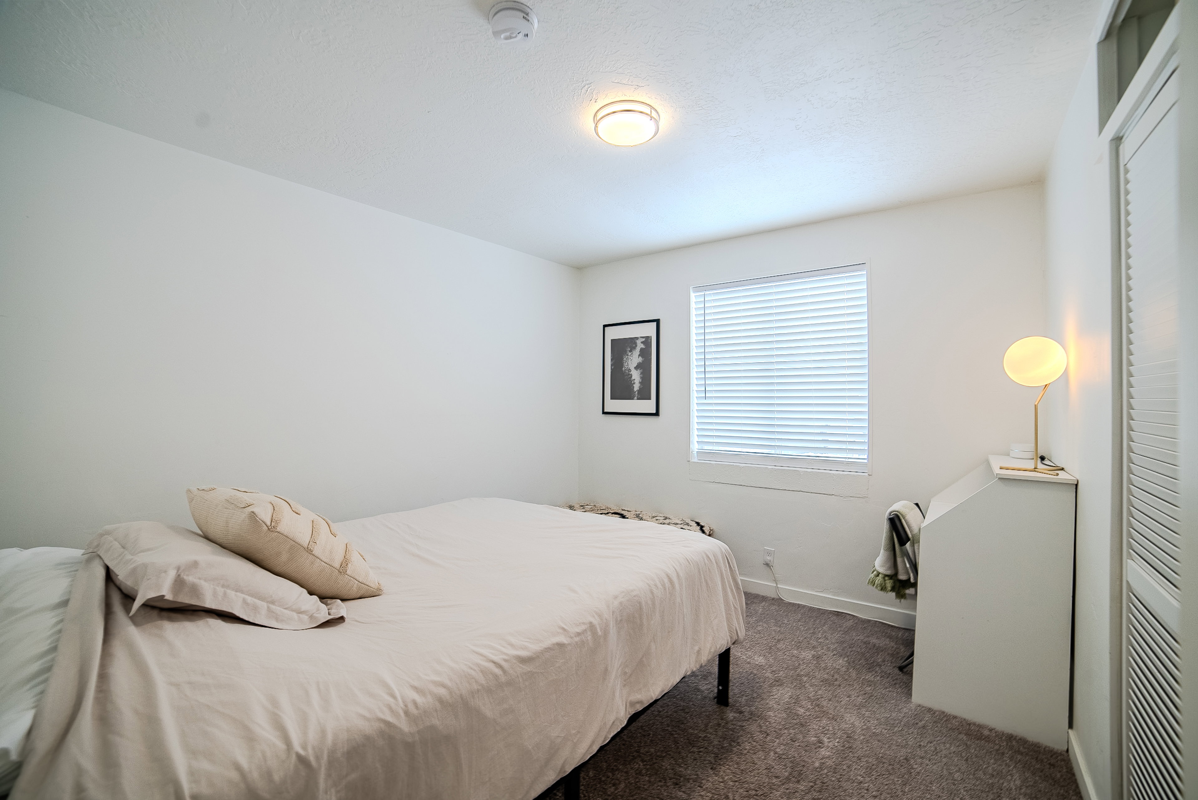 Carpeted interior room featuring a window with horizontal blinds, a ceiling-mounted light fixture, and white painted walls