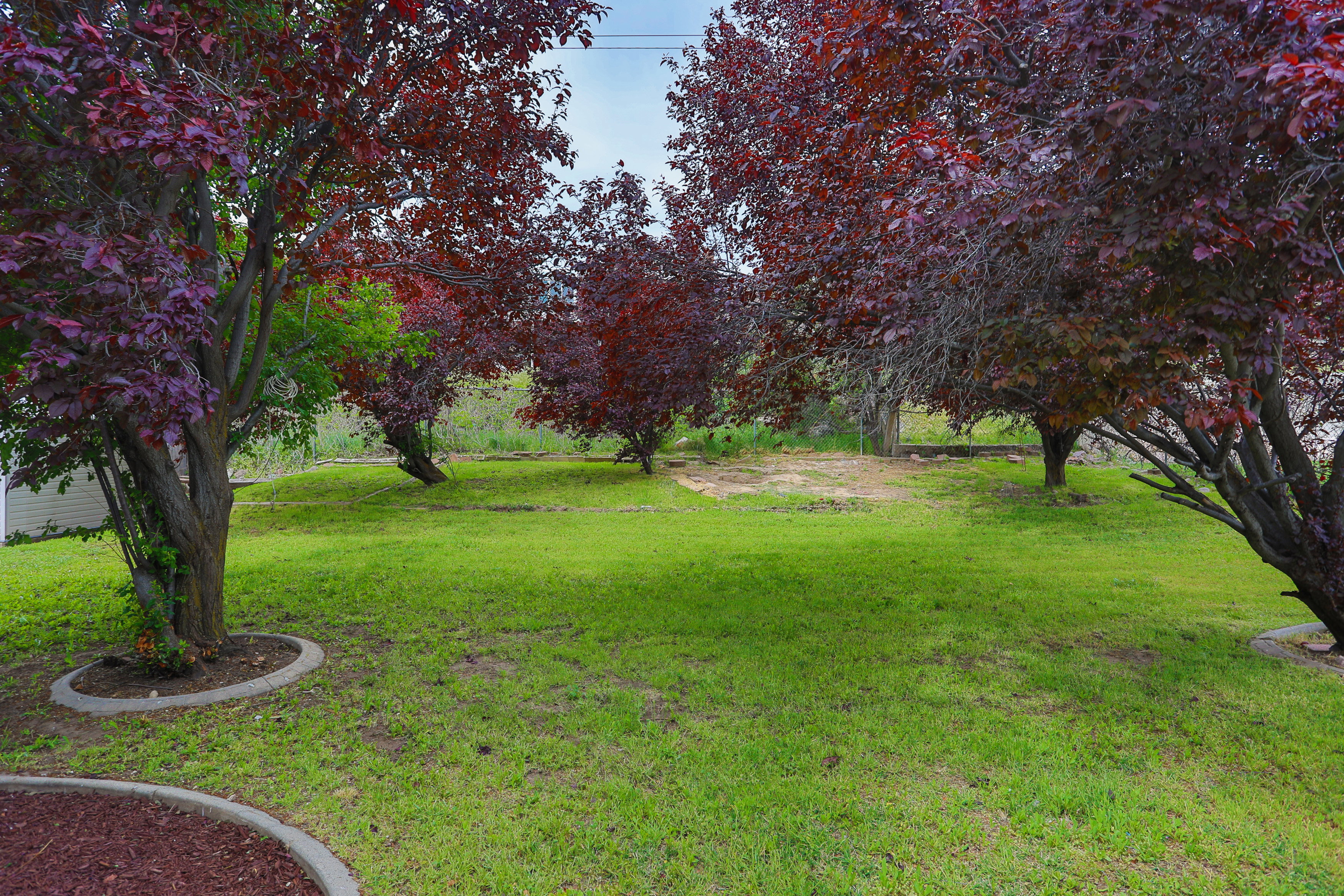 Expansive lawn area featuring multiple mature trees with deep red foliage