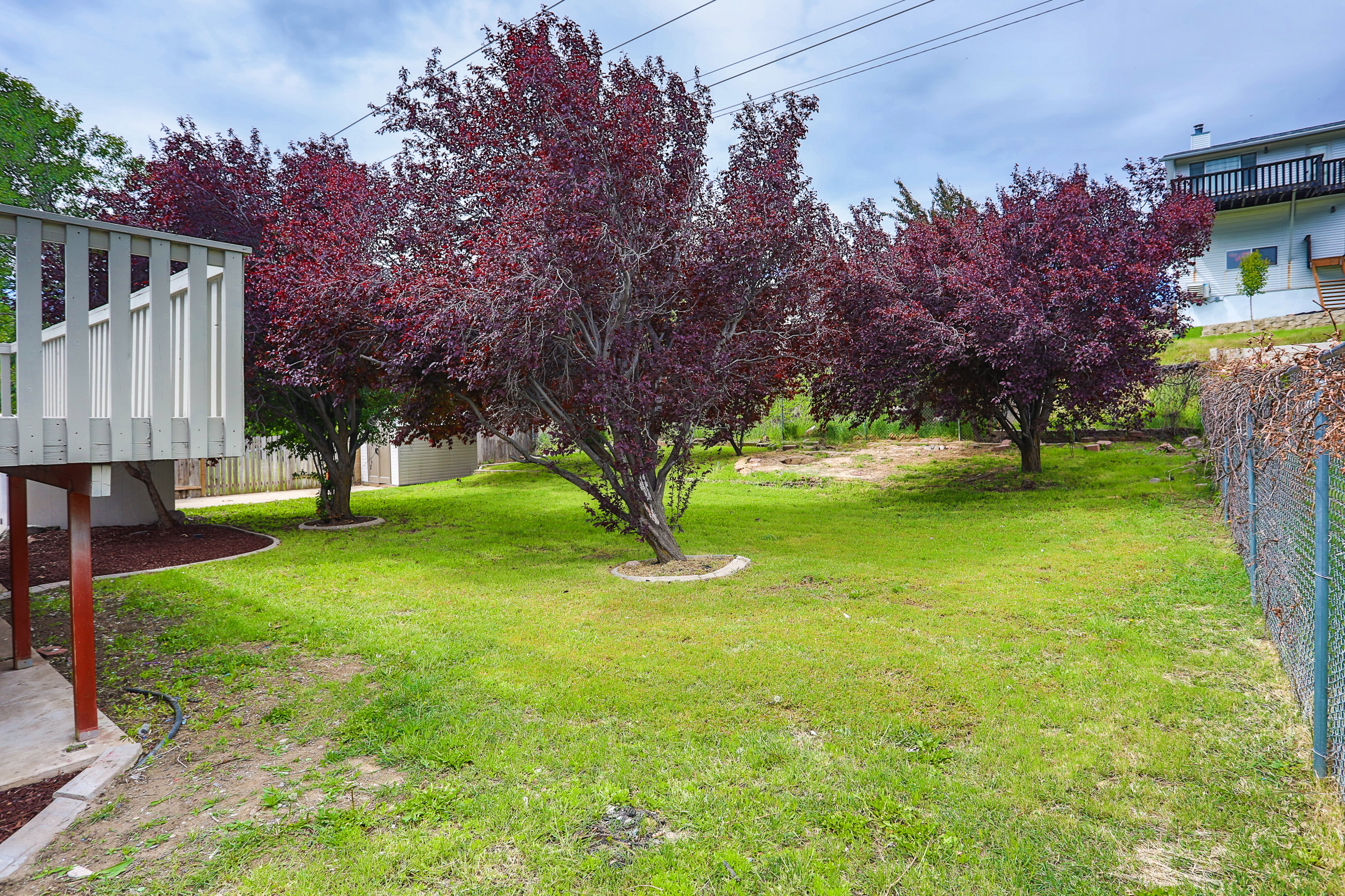 Expansive lawn area featuring multiple mature red-leaf trees, perimeter fencing, and a raised wooden deck with white railings