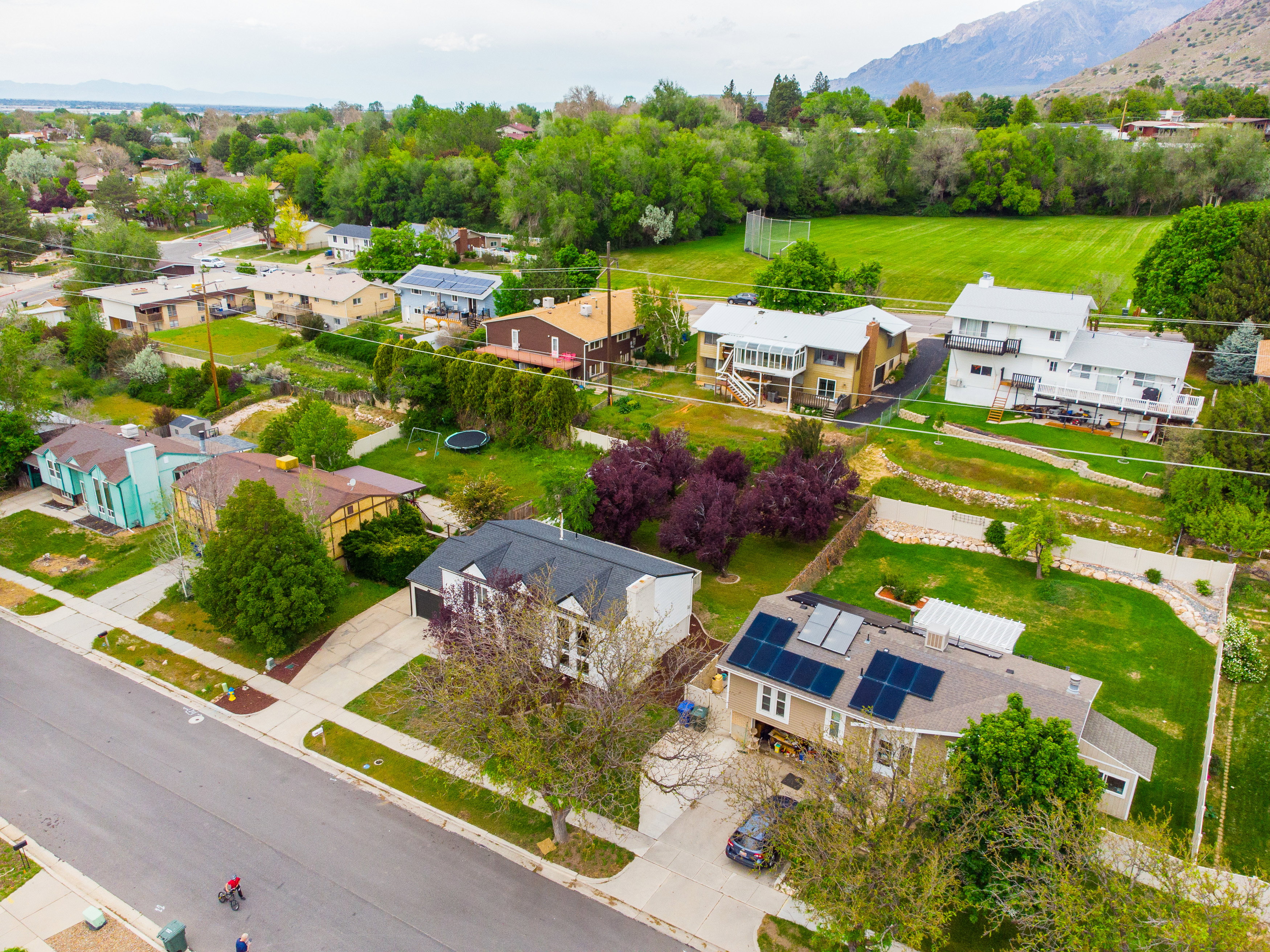 Aerial perspective showcasing a residential street with diverse architectural styles, mature trees, and a mountain range backdrop