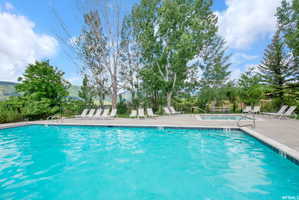 Outdoor swimming pool with integrated hot tub, surrounded by a concrete deck and mature trees