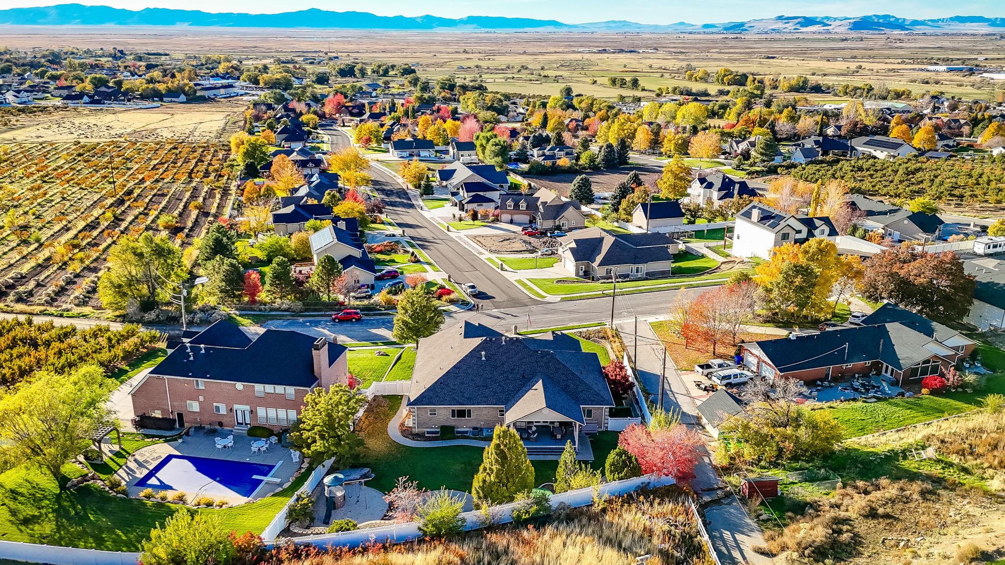 Elevated aerial perspective showcasing a residential neighborhood with diverse home styles, mature landscaping, and a distant mountain range