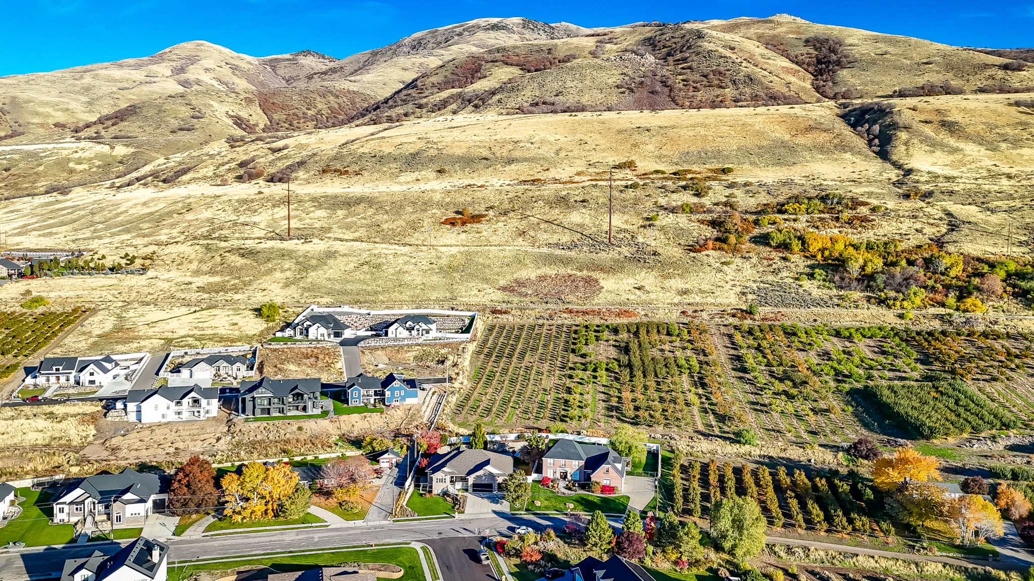 Residential properties situated on a sloping landscape, featuring varied architectural styles and mature trees