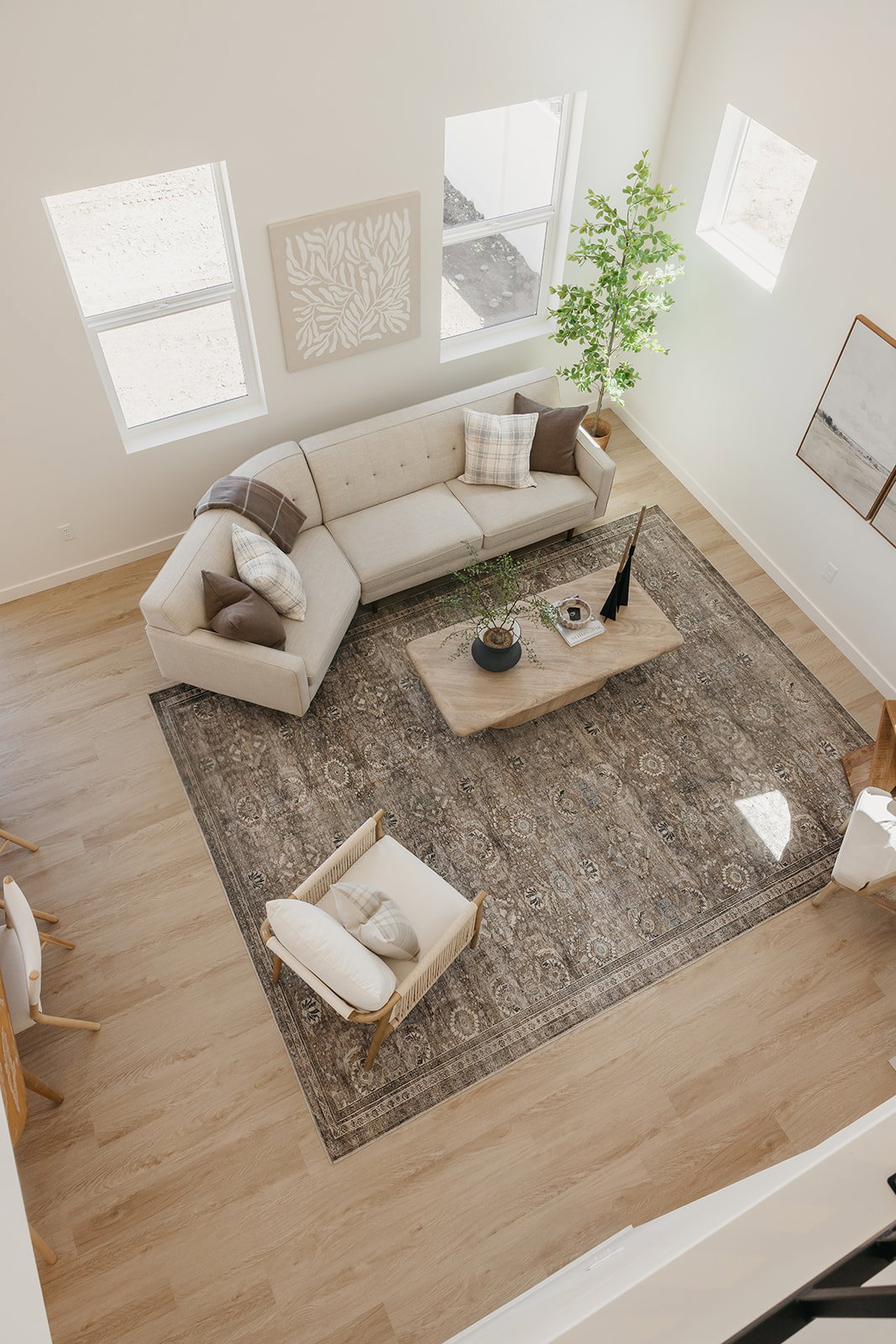 Living area featuring light wood-finish flooring, high ceilings, multiple windows, and a patterned area rug