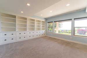 Expansive built-in shelving with lower drawer storage