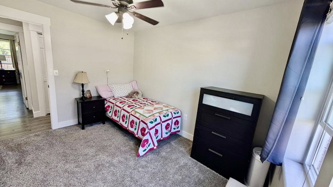 Carpeted room featuring a ceiling fan, light gray wall paint, and a window with a white frame