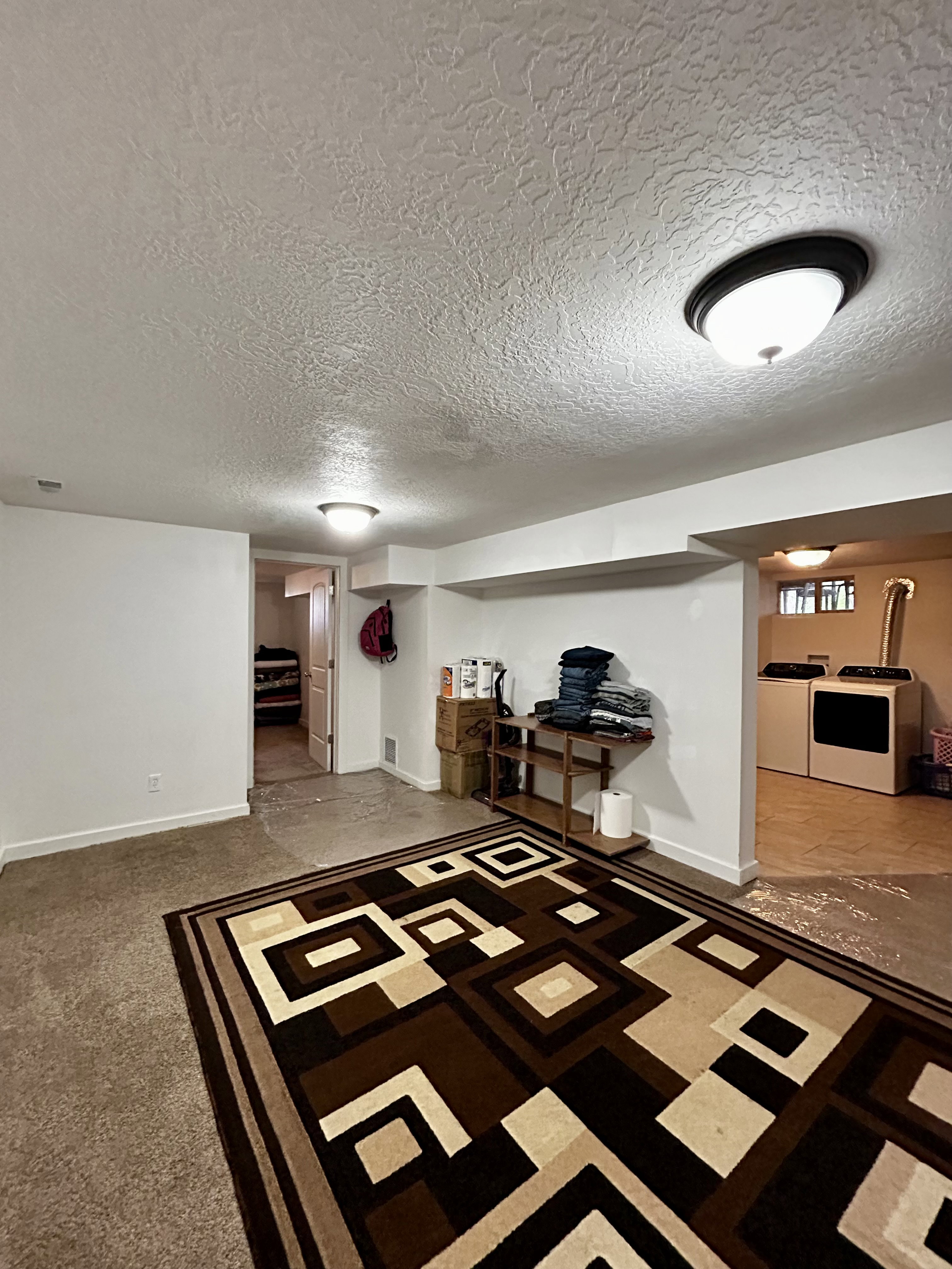 Basement family room