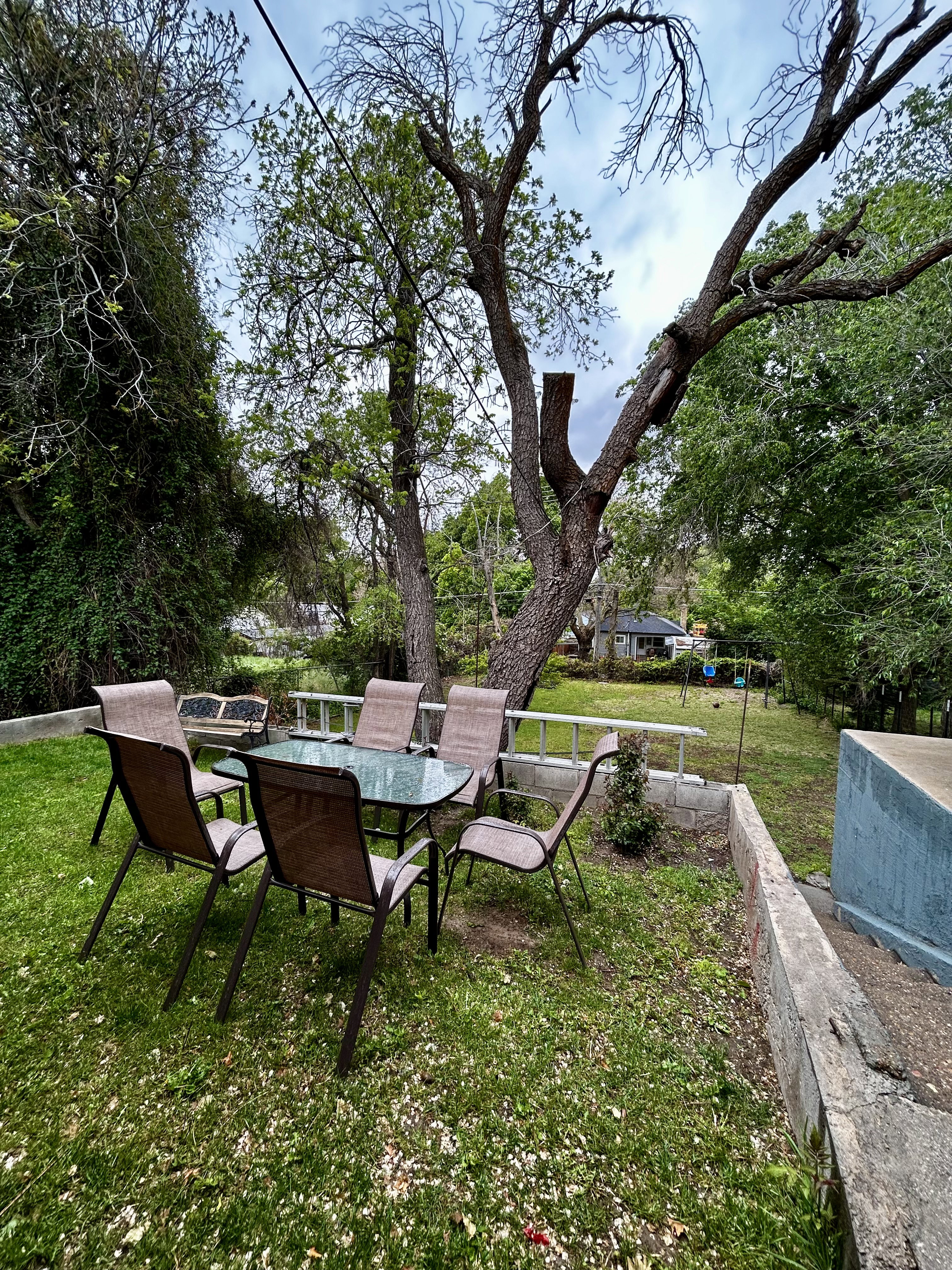 Grassy outdoor area featuring mature trees and concrete retaining walls