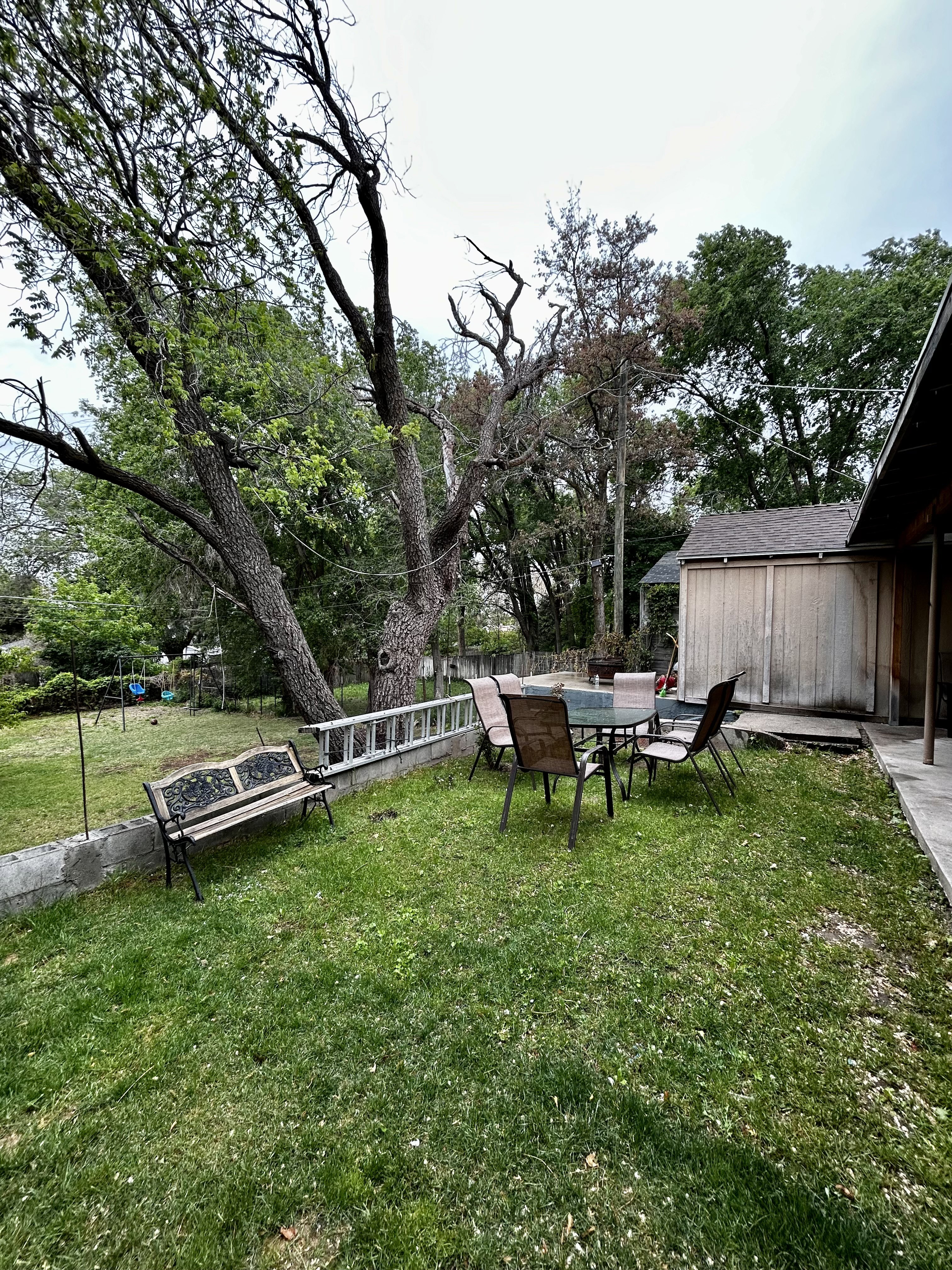 Expansive green lawn featuring mature trees