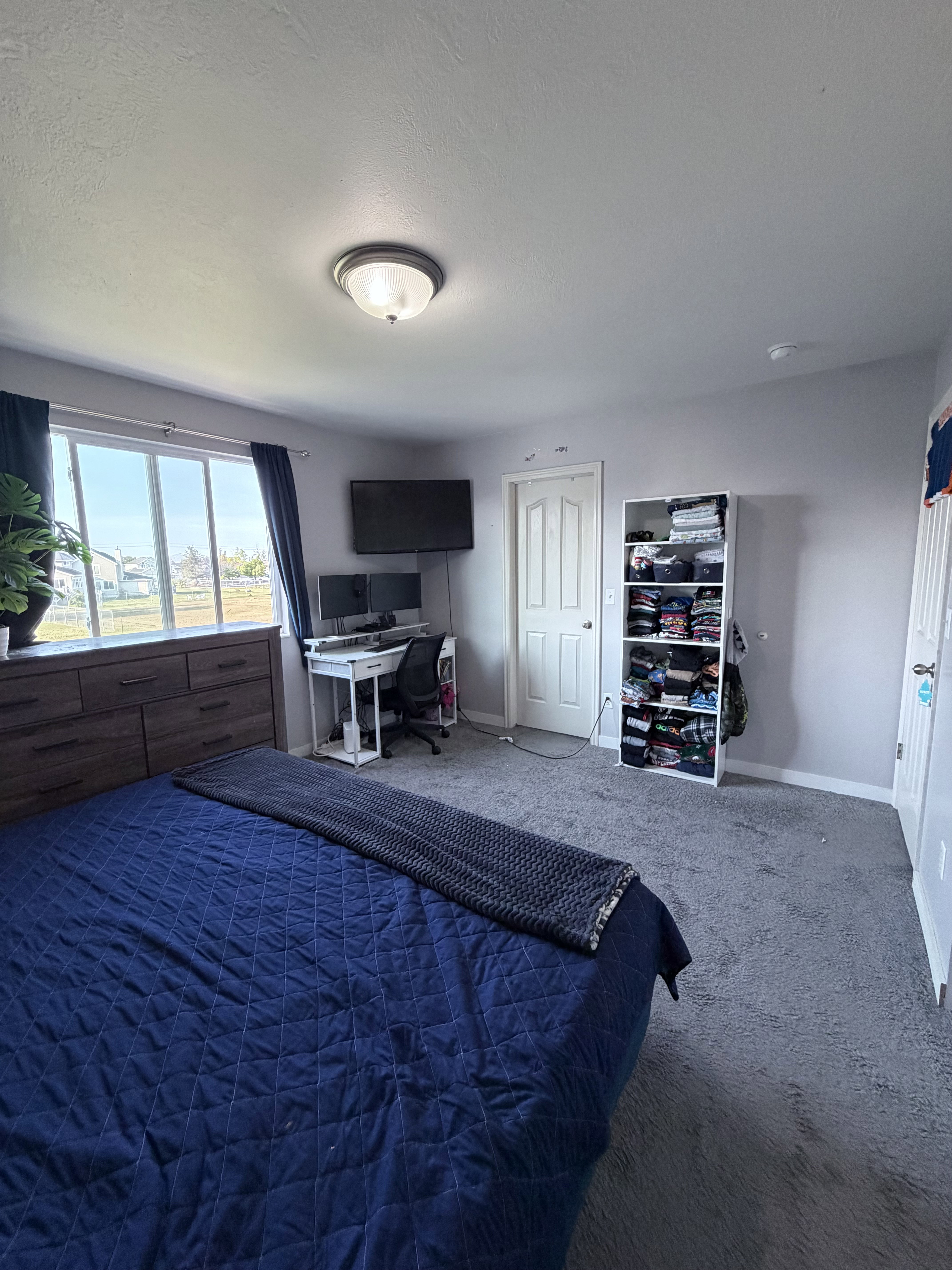 Carpeted room with a large window, a white interior door, and a ceiling-mounted light fixture