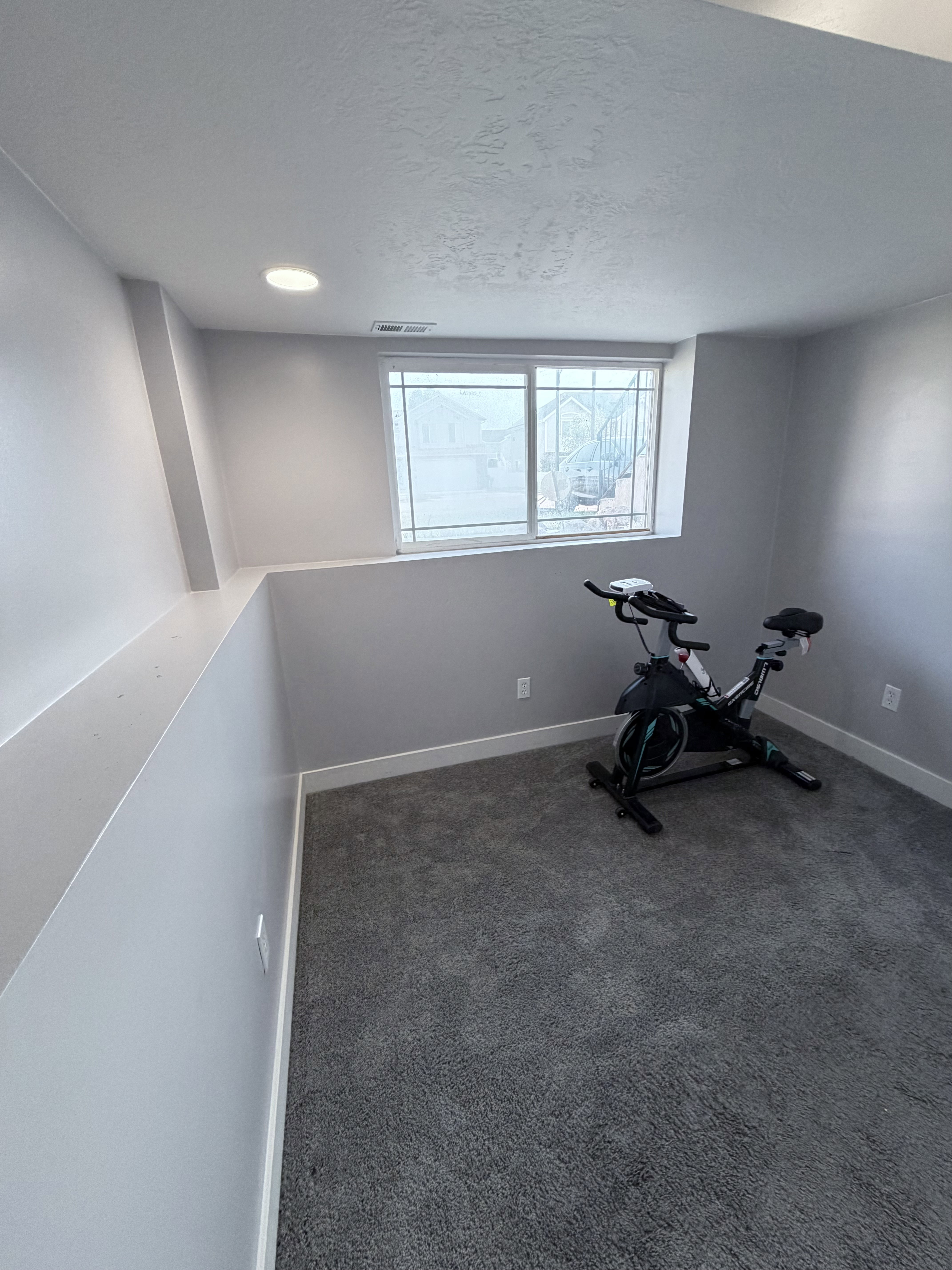 Finished room featuring grey carpeting, light grey walls, and white trim
