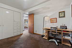 Room featuring built-in white cabinetry with drawers, wood-finish door, and brown carpeting