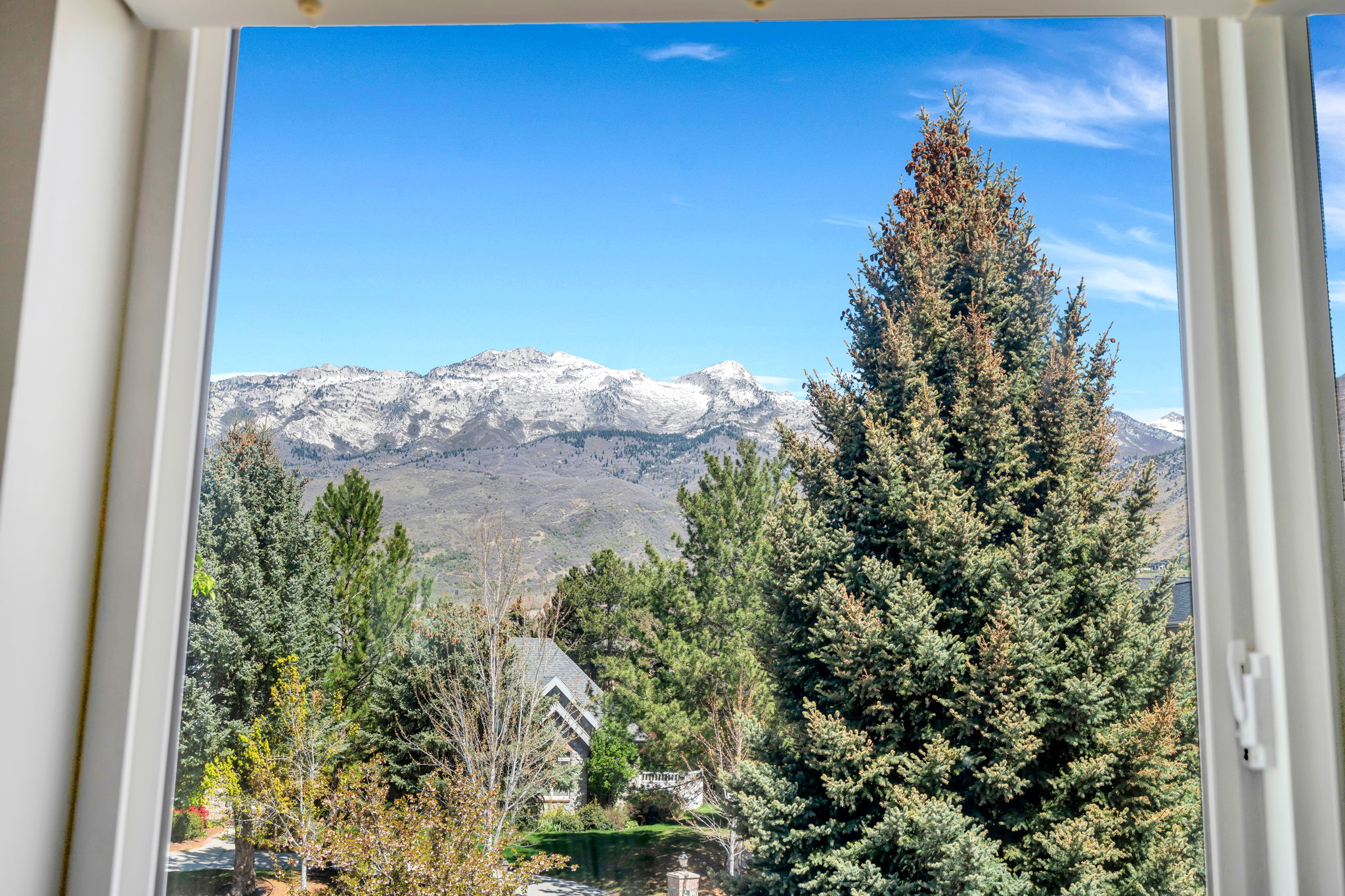 Framed mountain scenery featuring snow-capped peaks and evergreen trees
