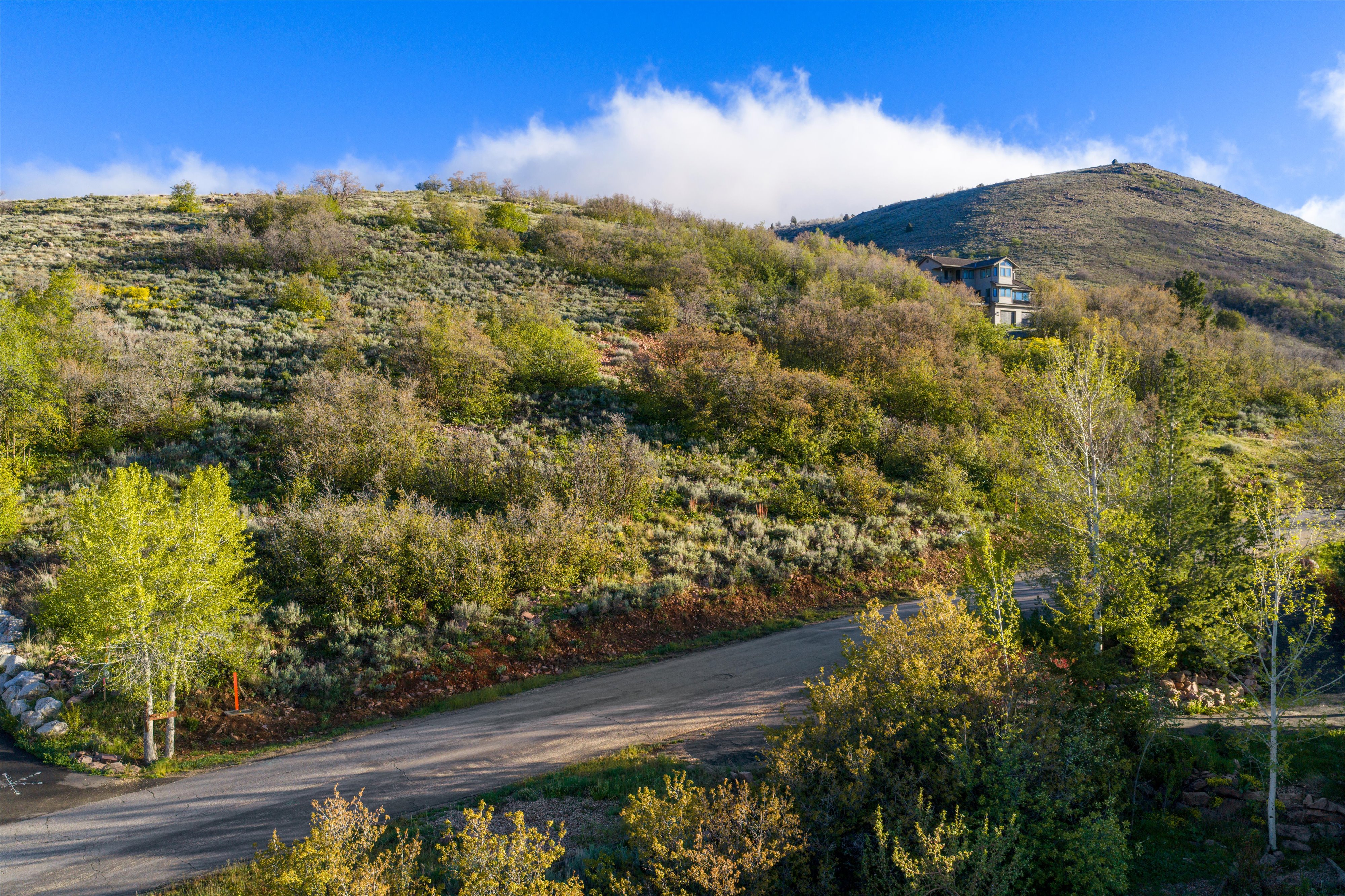 Hillside property featuring natural landscaping and a winding paved road