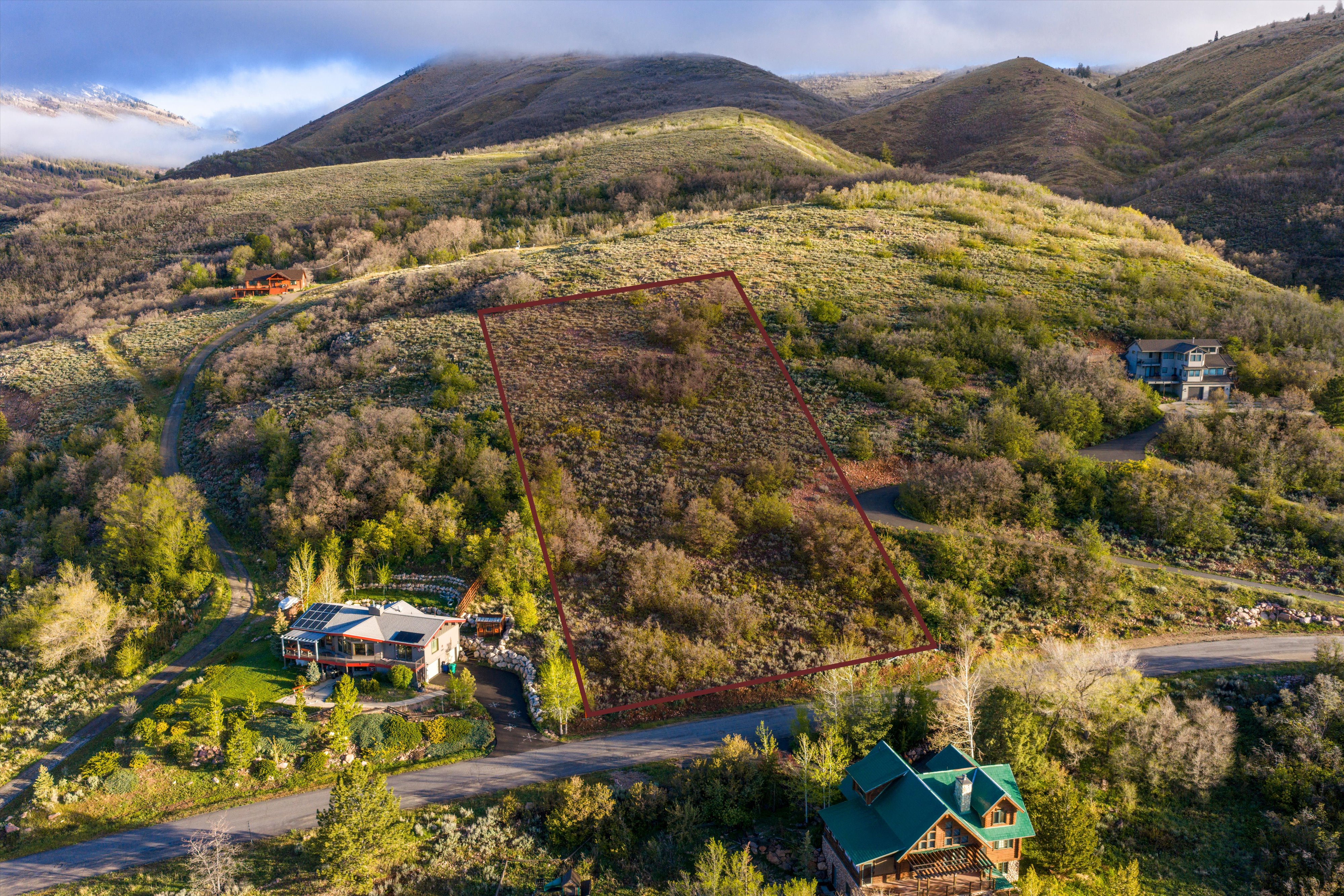 Expansive undeveloped lot featuring natural vegetation and sloped terrain