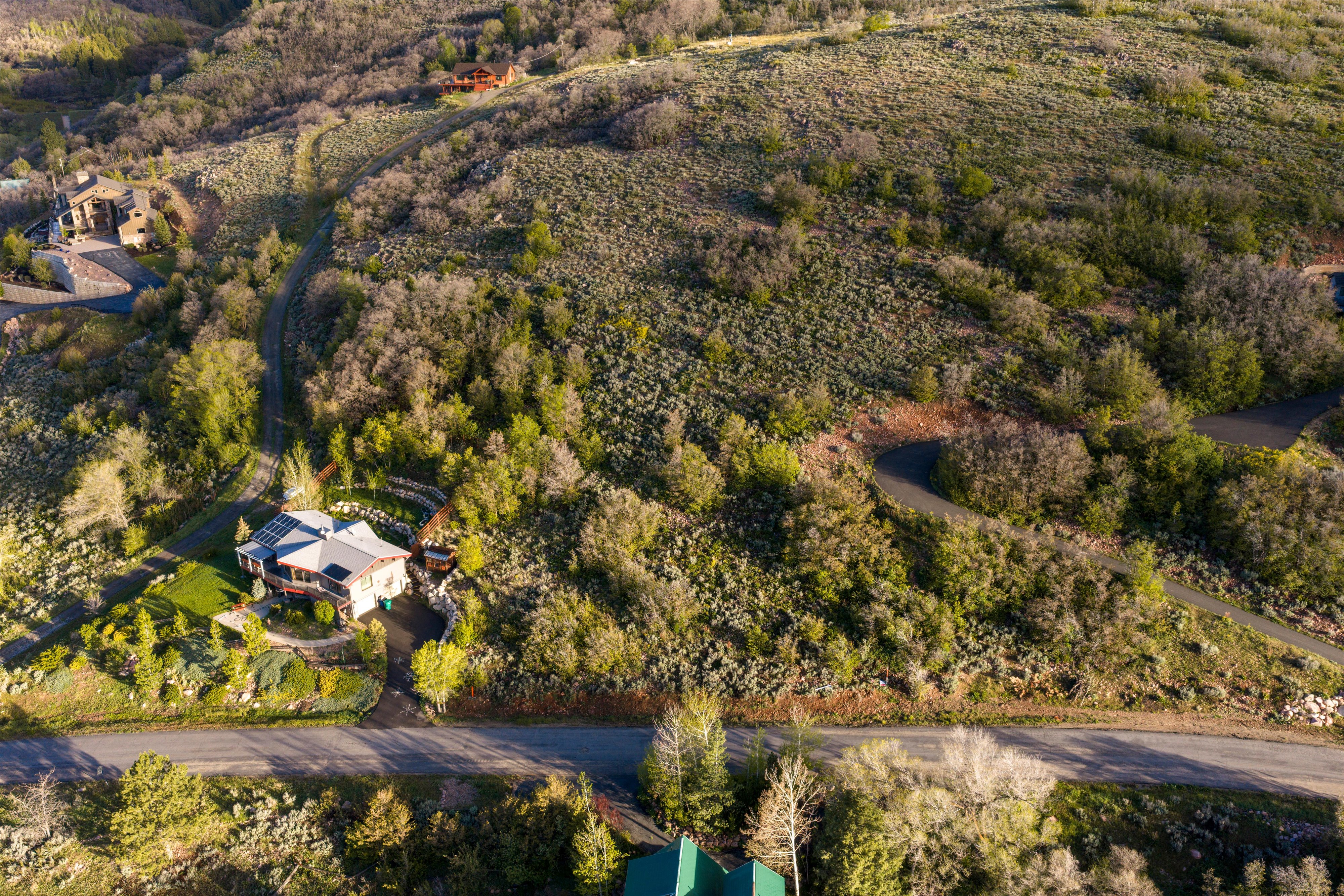 Hillside residence featuring a large deck, mature trees, and a paved driveway